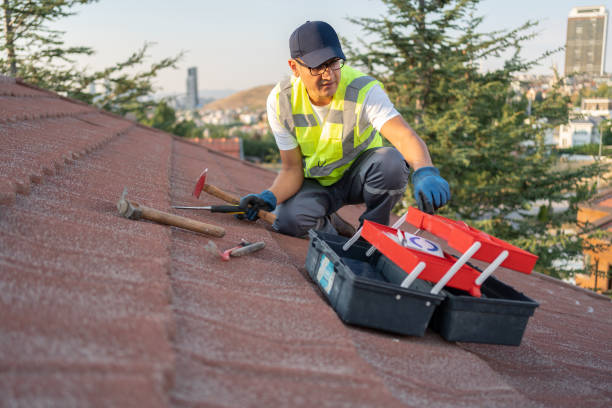 Best Storm Damage Siding Repair  in Lopezville, TX